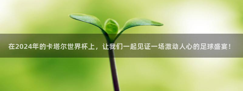 在2024年的卡塔尔世界杯上，让我们一起见证一场激动人心的足球盛宴！