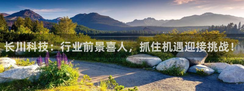 长川科技：行业前景喜人，抓住机遇迎接挑战！
